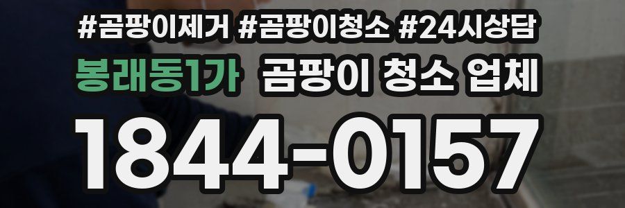 봉래동1가 곰팡이 청소 업체