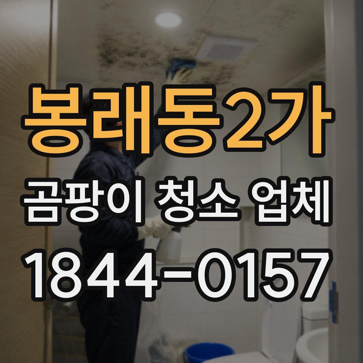 봉래동2가 곰팡이 청소 업체