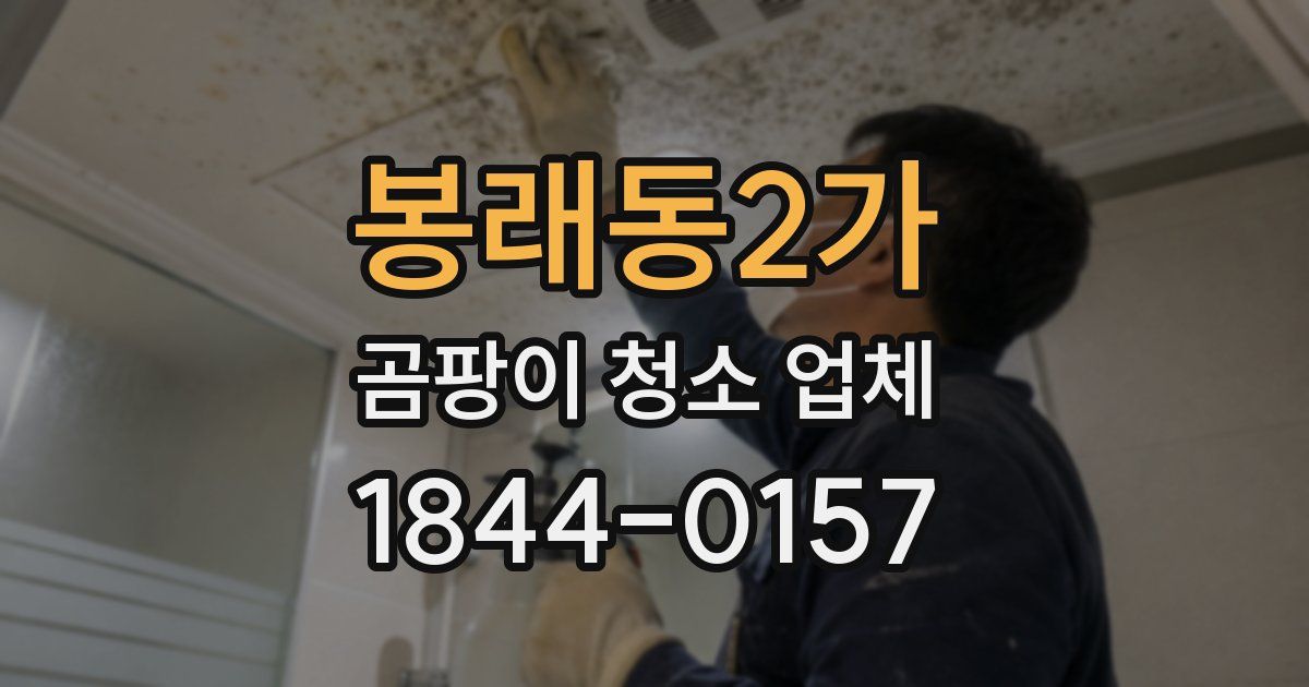봉래동2가 곰팡이 청소 업체