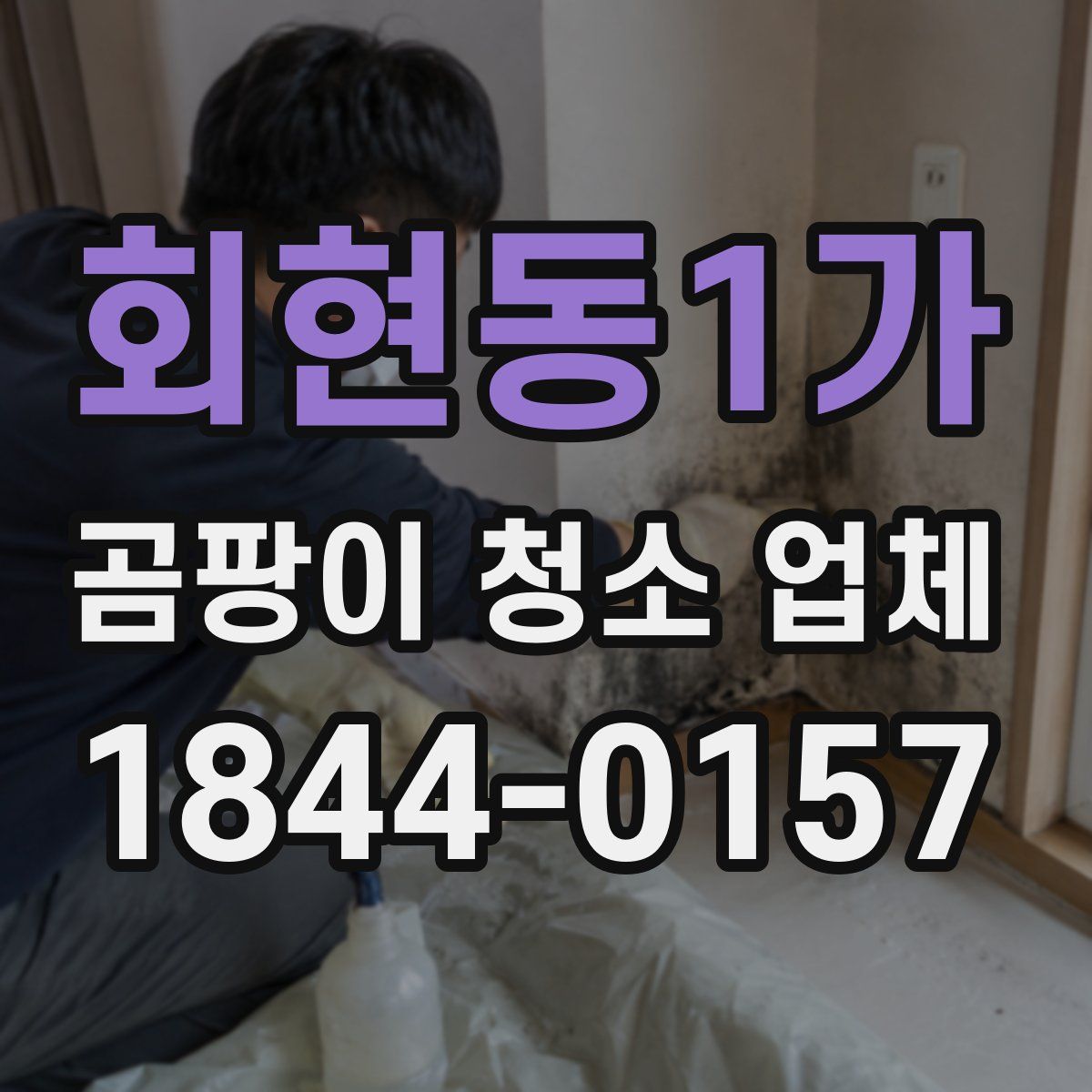 회현동1가 곰팡이 청소 업체