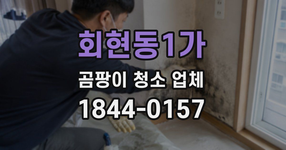 회현동1가 곰팡이 청소 업체