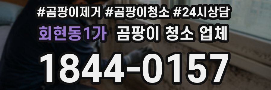 회현동1가 곰팡이 청소 업체