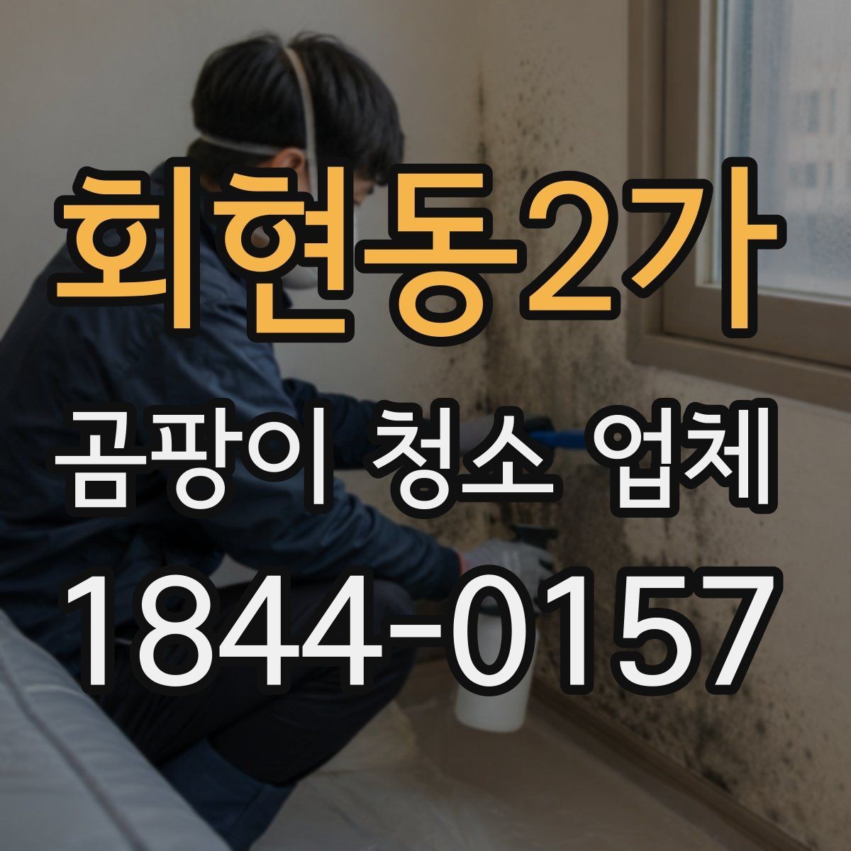 회현동2가 곰팡이 청소 업체 약품 사용 기준과 안전 확인 포인트