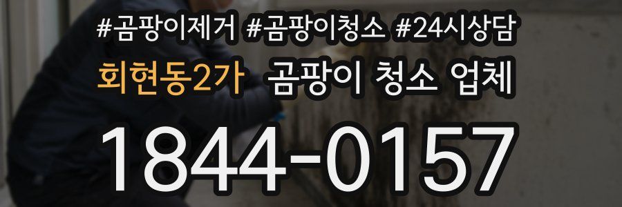 회현동2가 곰팡이 청소 업체