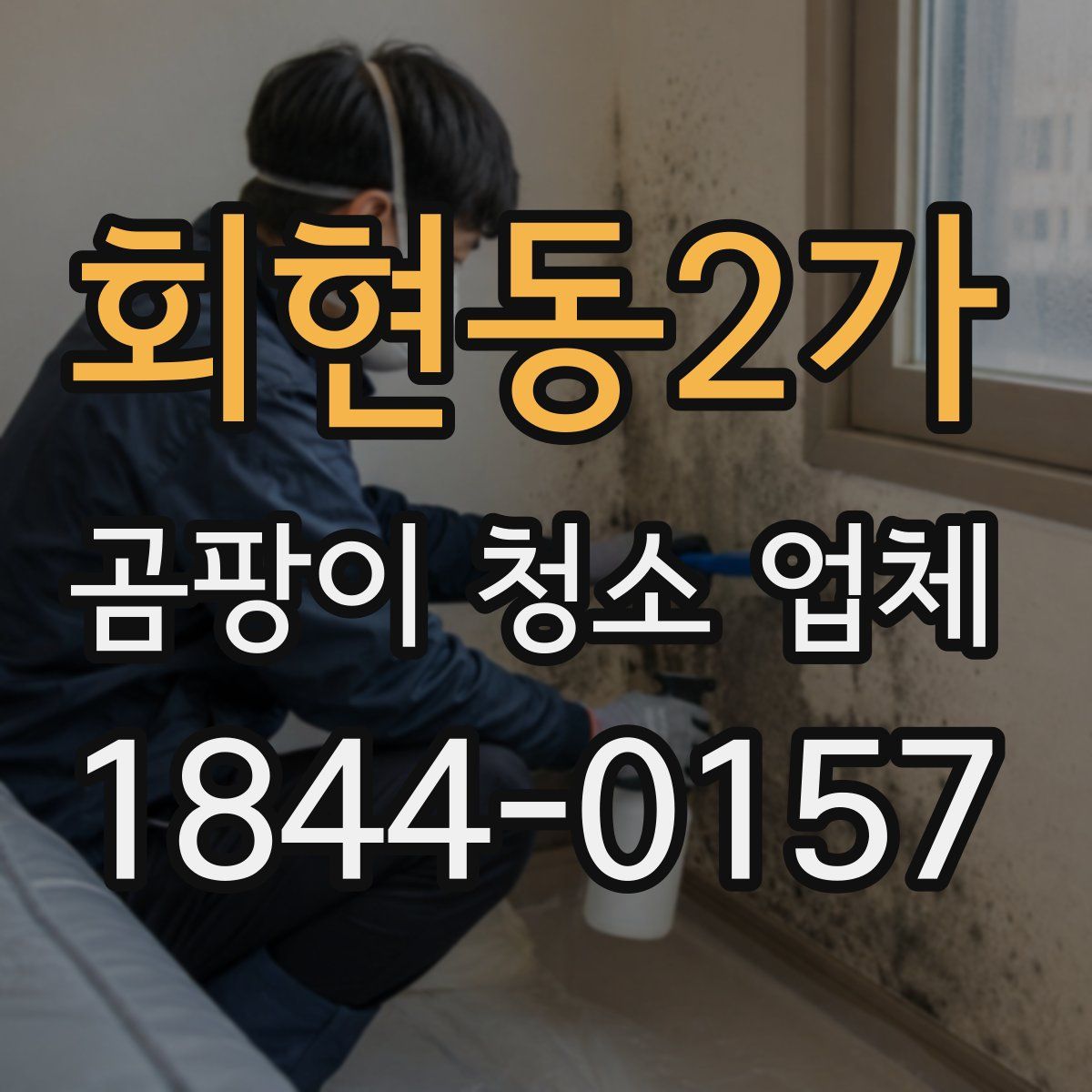 회현동2가 곰팡이 청소 업체