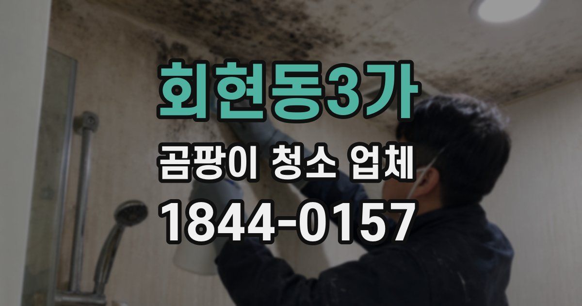 회현동3가 곰팡이 청소 업체