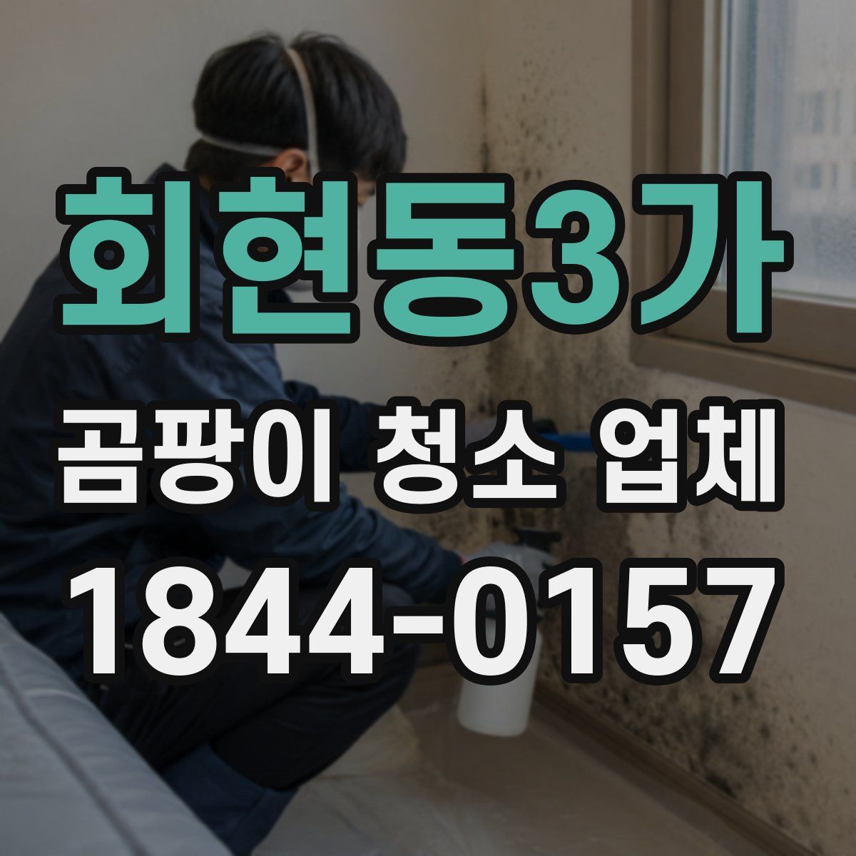 회현동3가 곰팡이 청소 업체