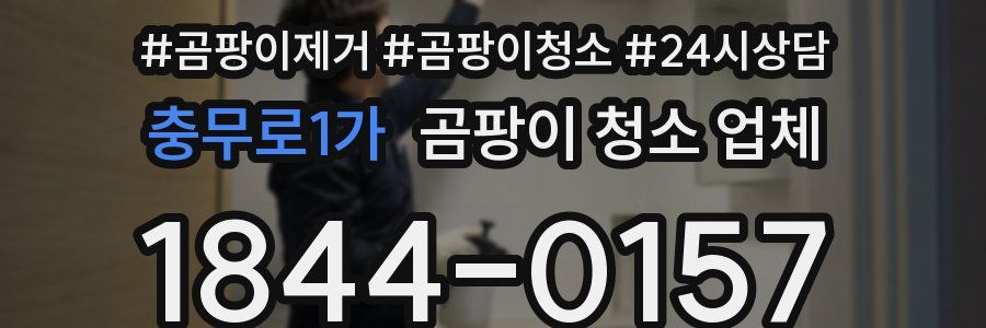 충무로1가 곰팡이 청소 업체