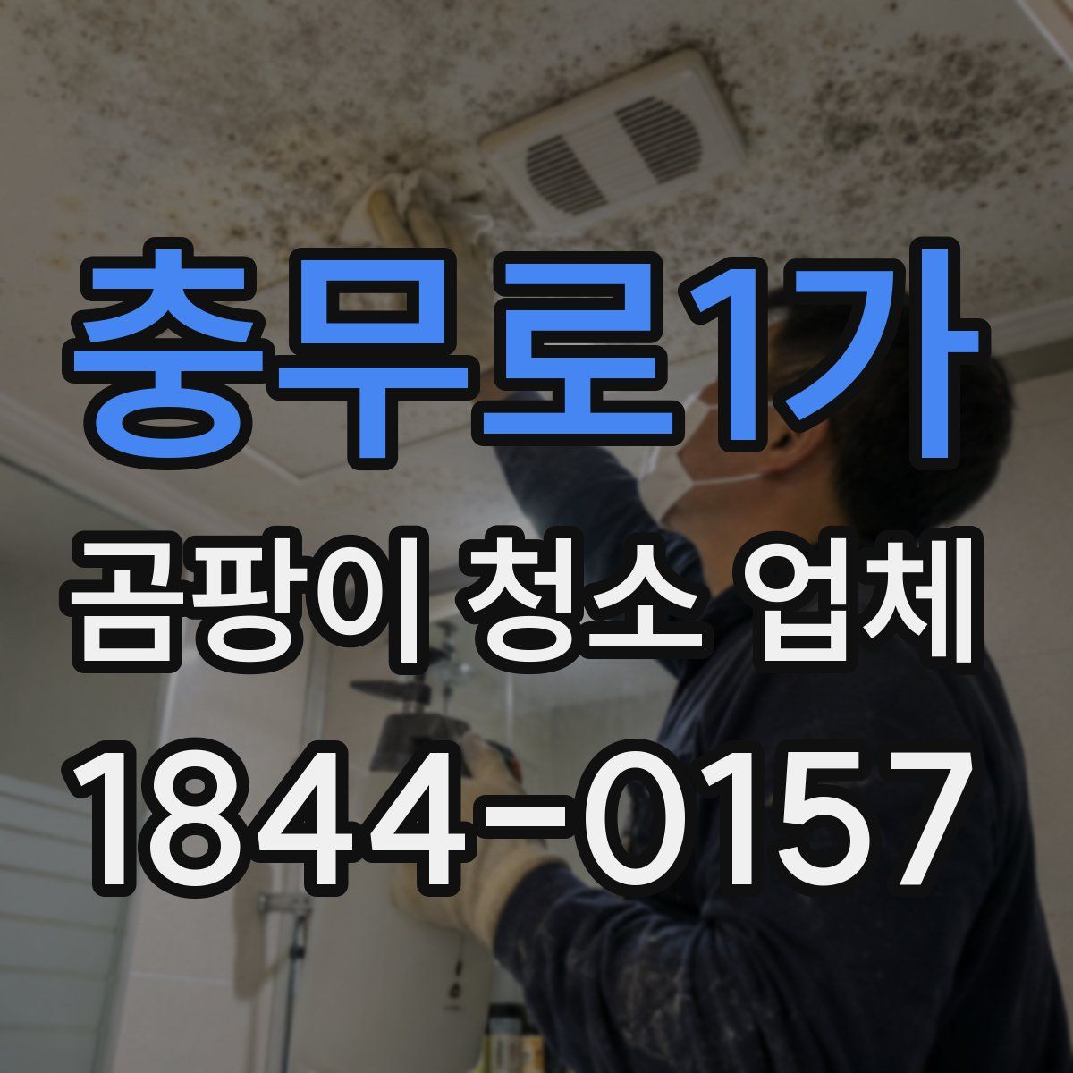 충무로1가 곰팡이 청소 업체