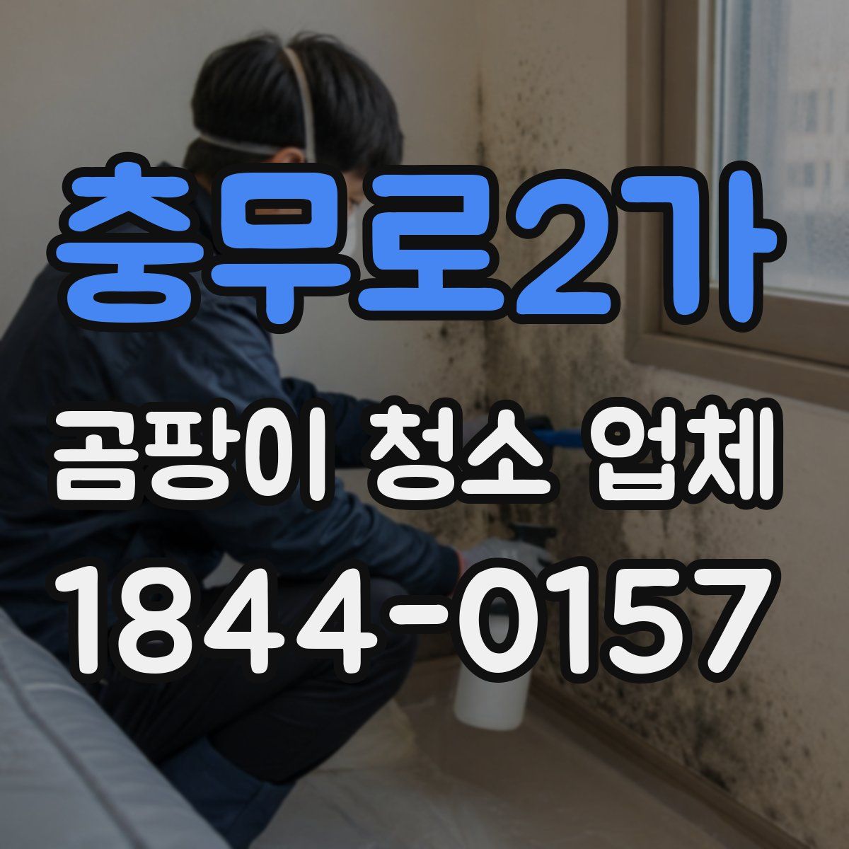충무로2가 곰팡이 청소 업체