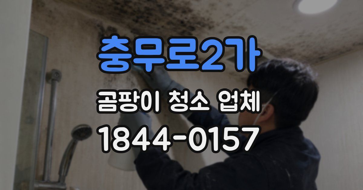 충무로2가 곰팡이 청소 업체