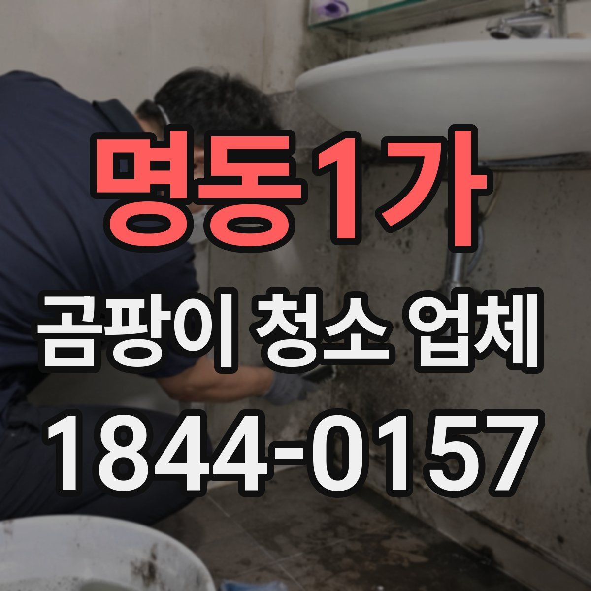 명동1가 곰팡이 청소 업체