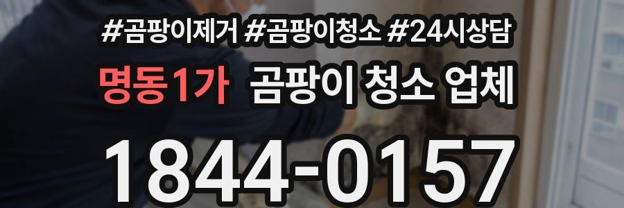 명동1가 곰팡이 청소 업체