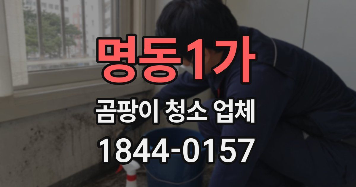 명동1가 곰팡이 청소 업체