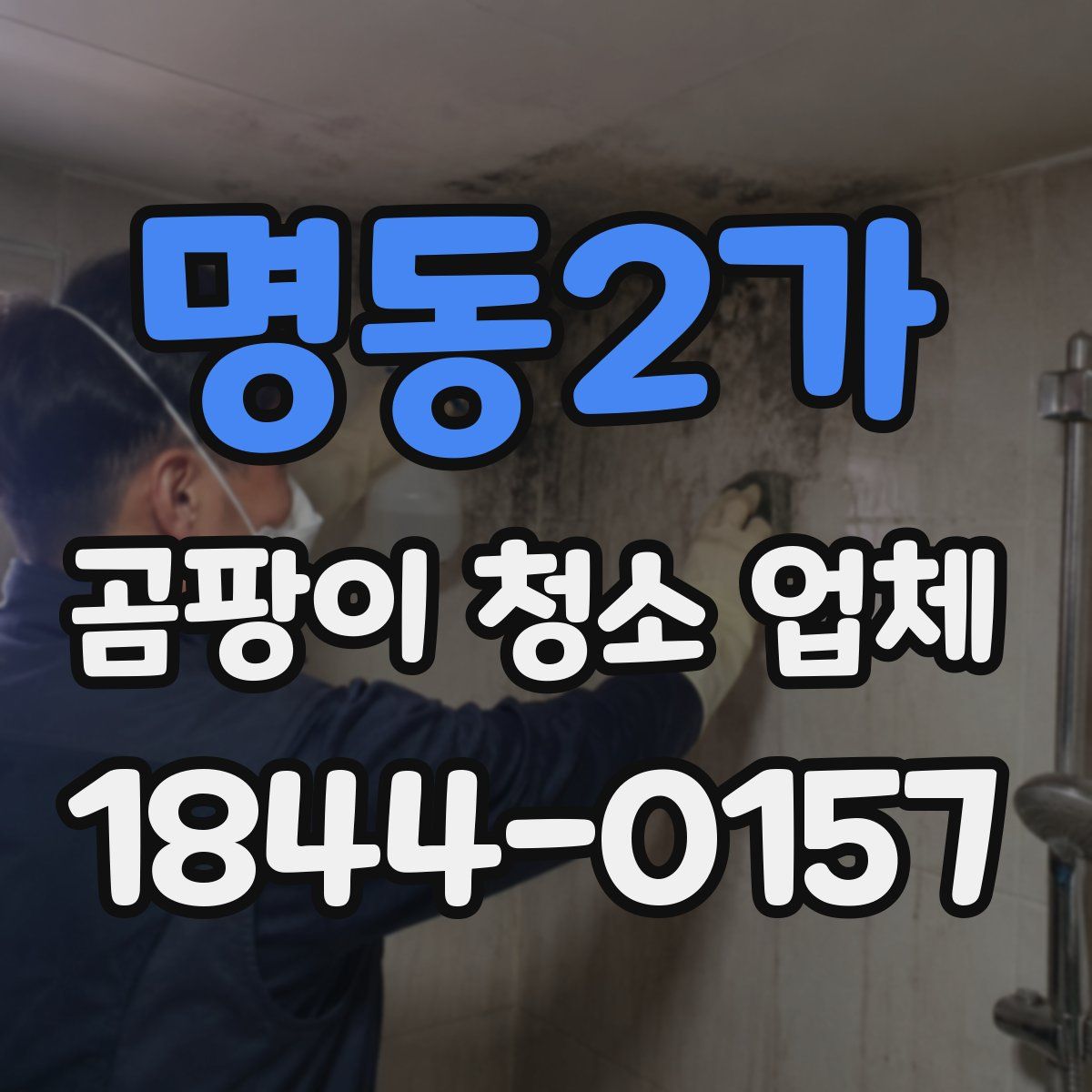 명동2가 곰팡이 청소 업체