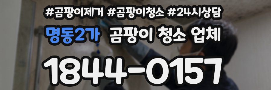 명동2가 곰팡이 청소 업체
