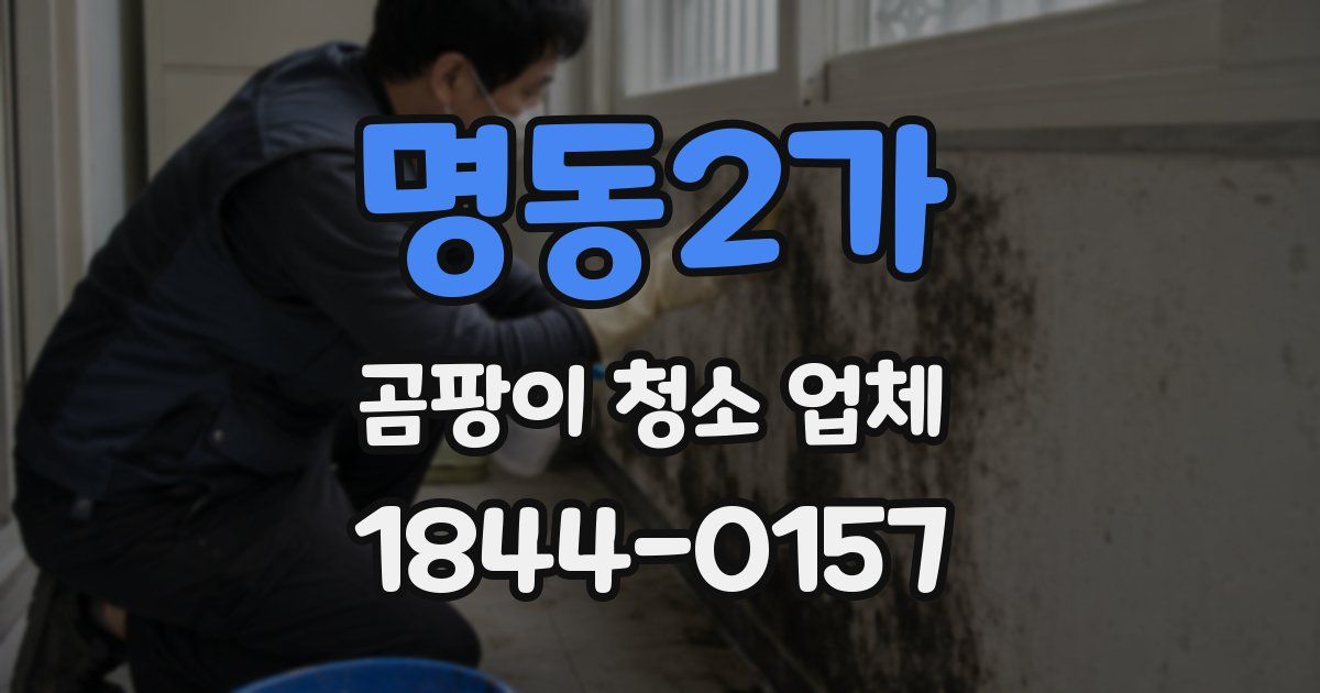 명동2가 곰팡이 청소 업체