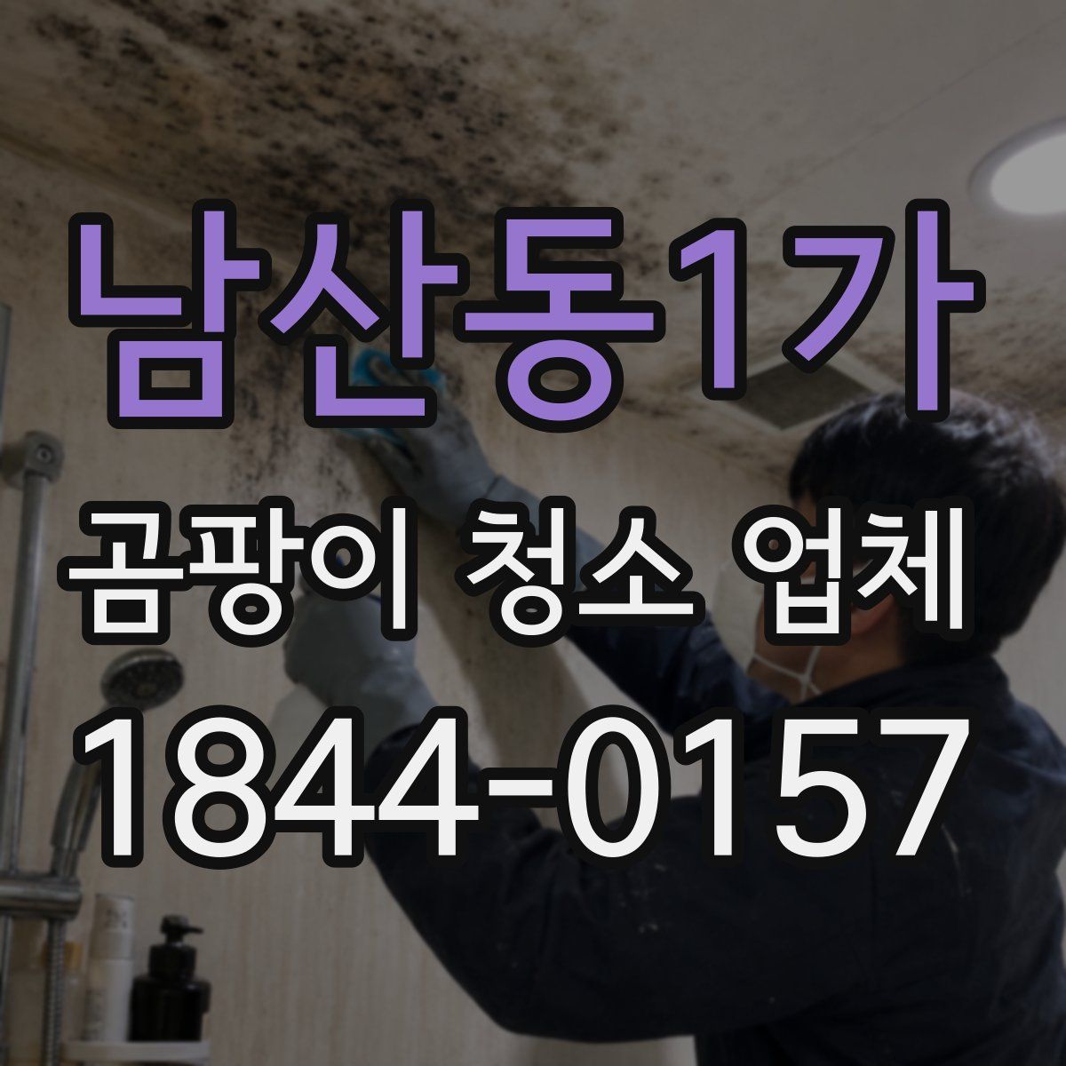 남산동1가 곰팡이 청소 업체