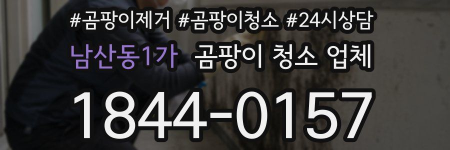 남산동1가 곰팡이 청소 업체