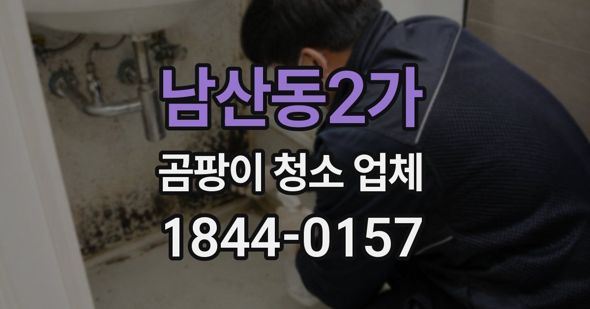 남산동2가 곰팡이 청소 업체