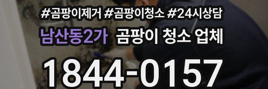 남산동2가 곰팡이 청소 업체