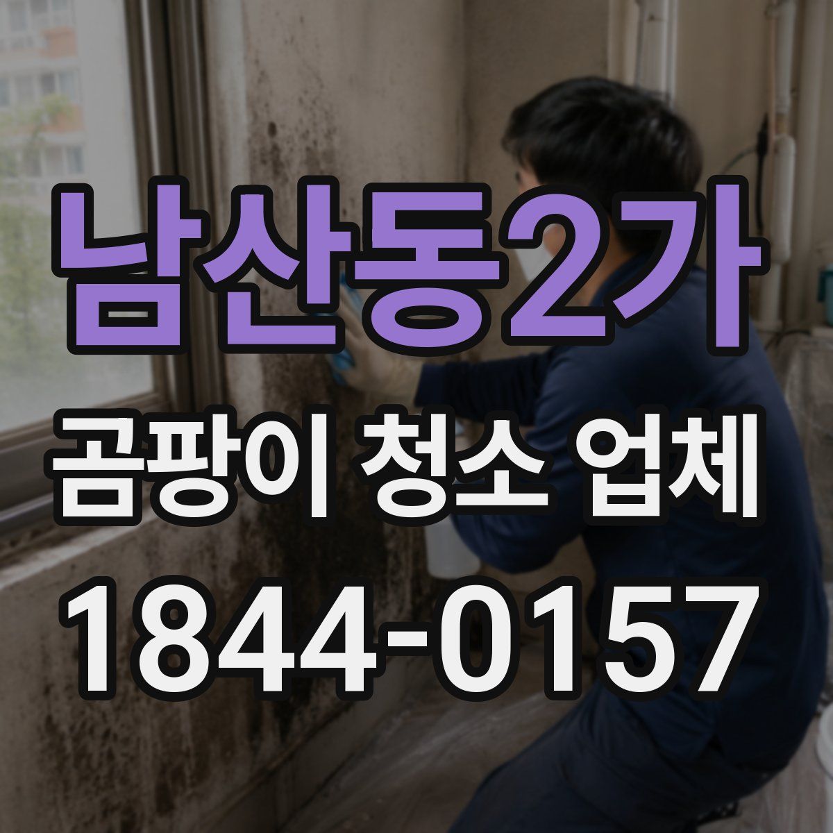 남산동2가 곰팡이 청소 업체