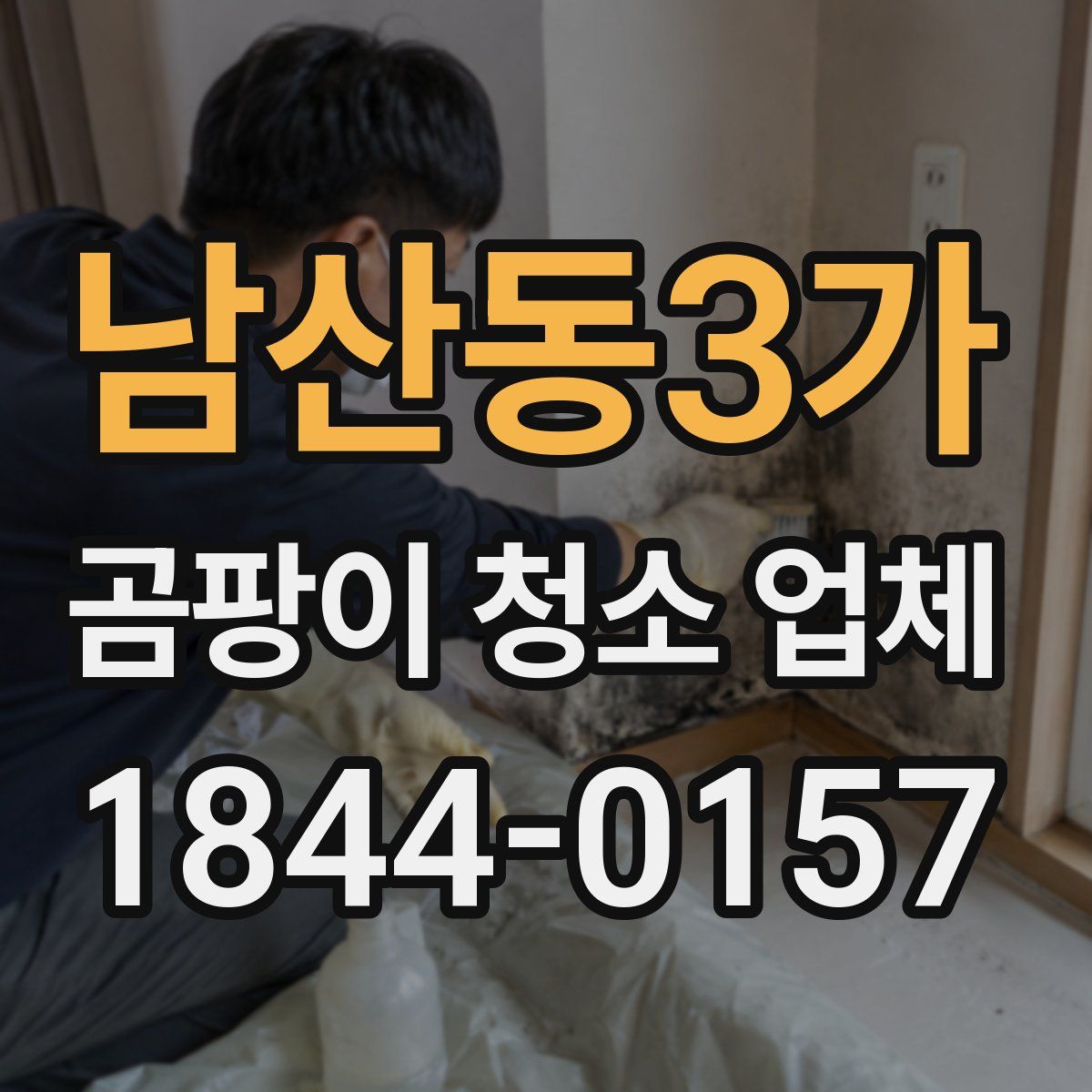 남산동3가 곰팡이 청소 업체
