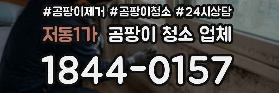 저동1가 곰팡이 청소 업체