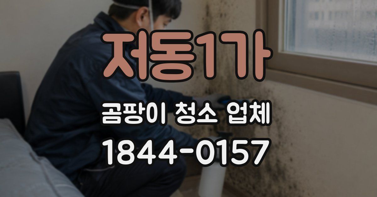 저동1가 곰팡이 청소 업체