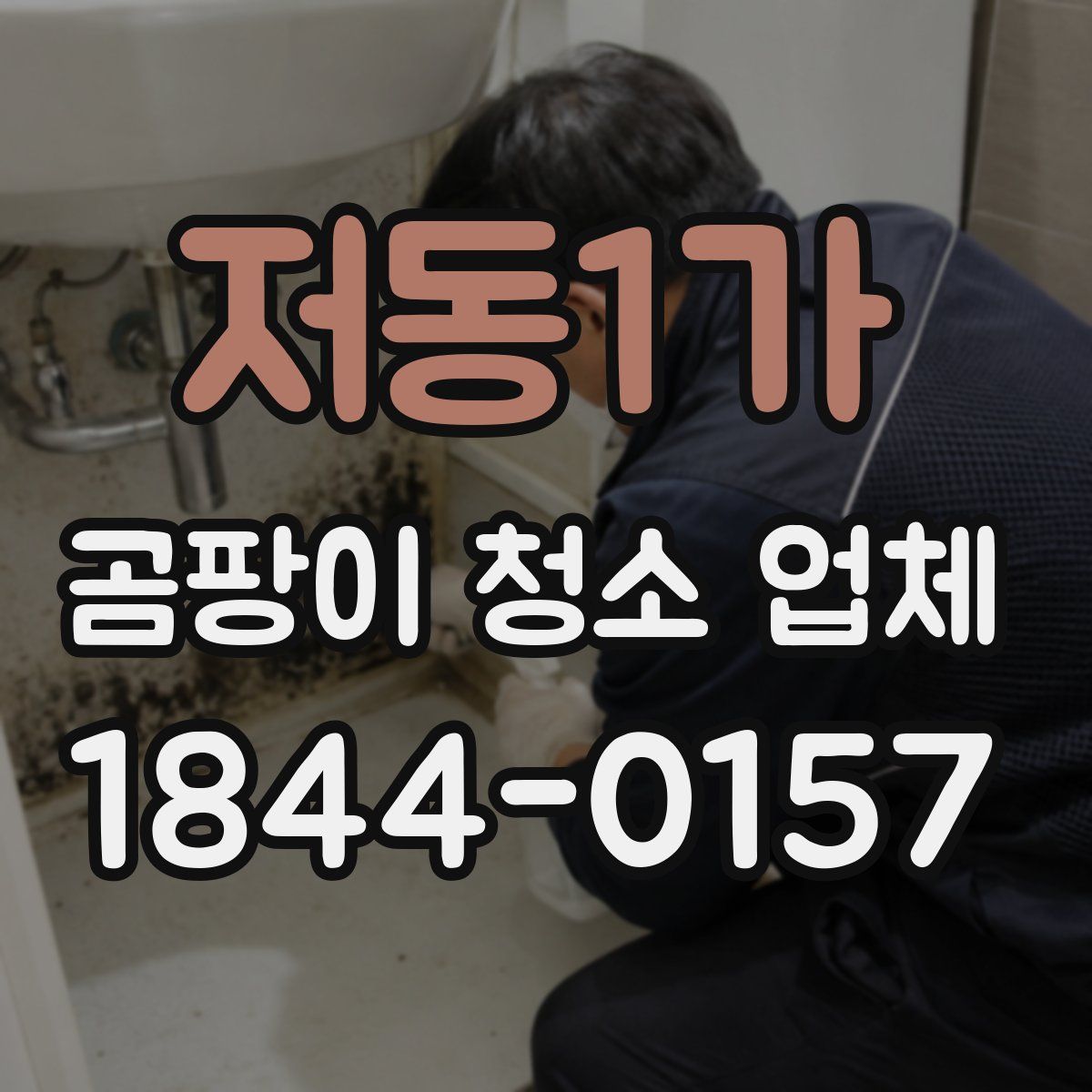 저동1가 곰팡이 청소 업체