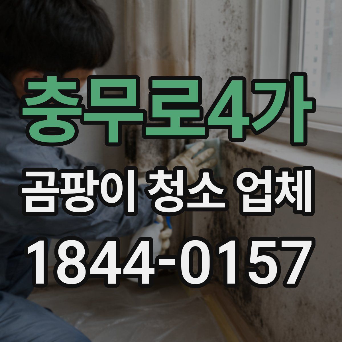 충무로4가 곰팡이 청소 업체