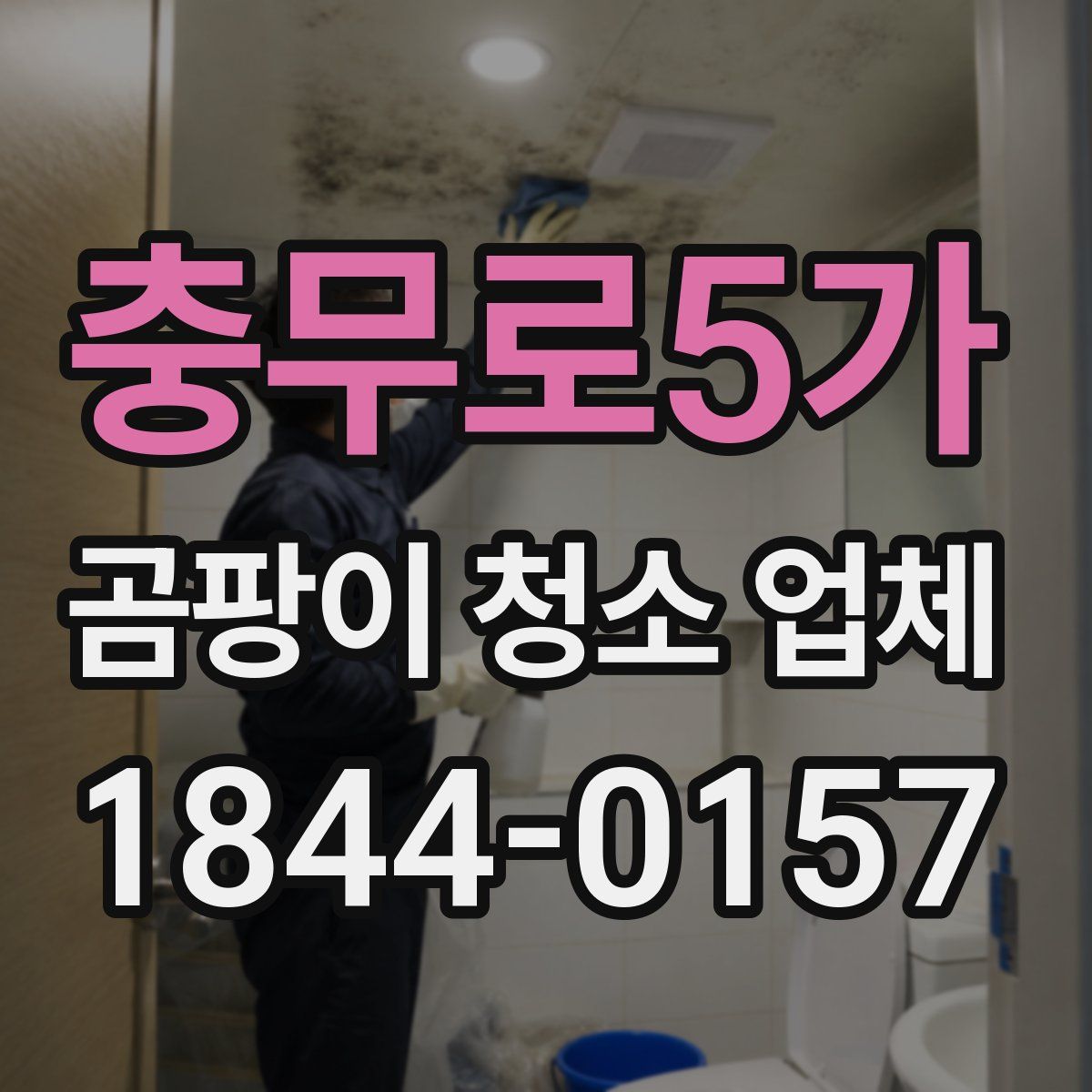 충무로5가 곰팡이 청소 업체