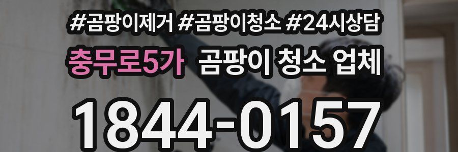 충무로5가 곰팡이 청소 업체