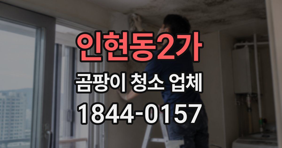 인현동2가 곰팡이 청소 업체