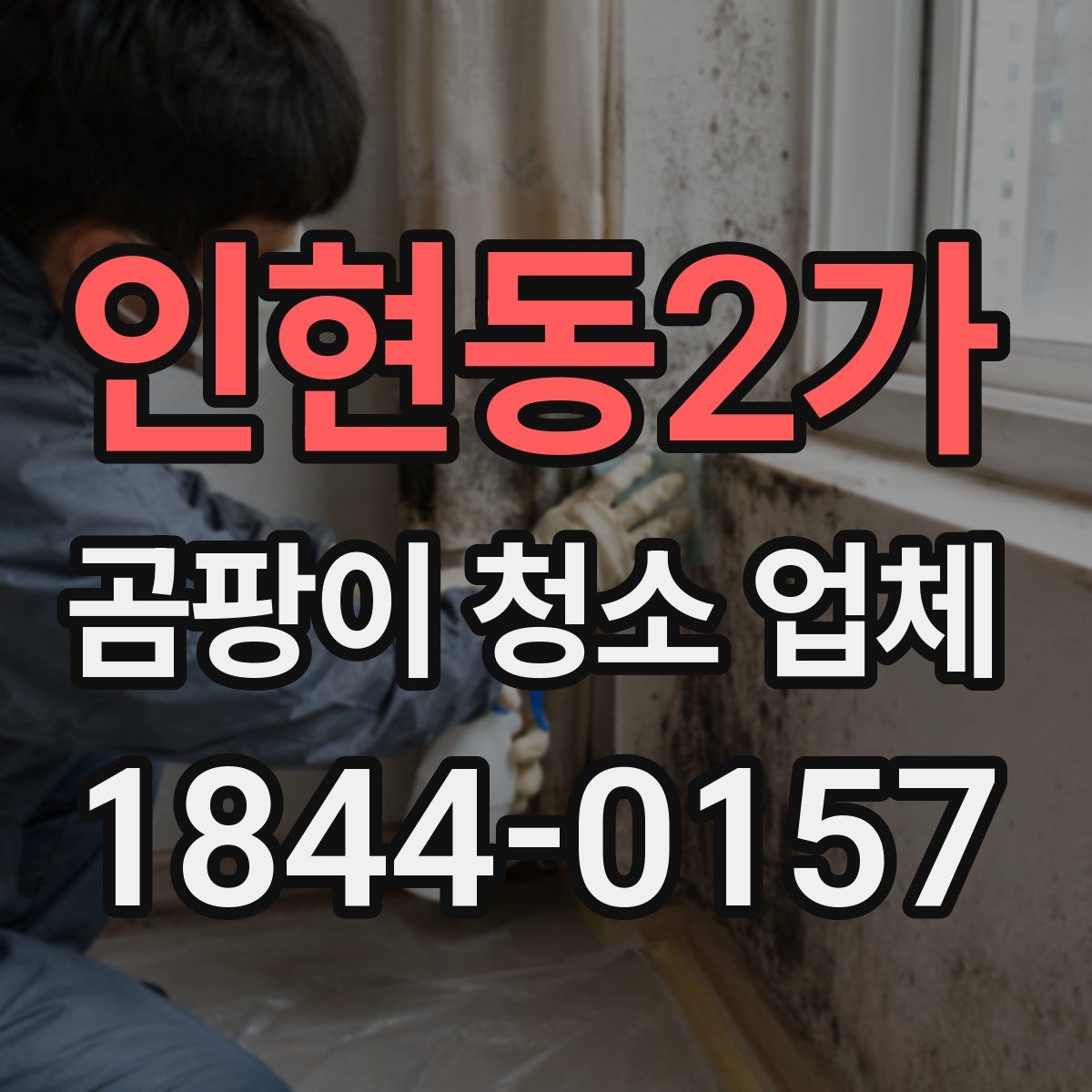 인현동2가 곰팡이 청소 업체
