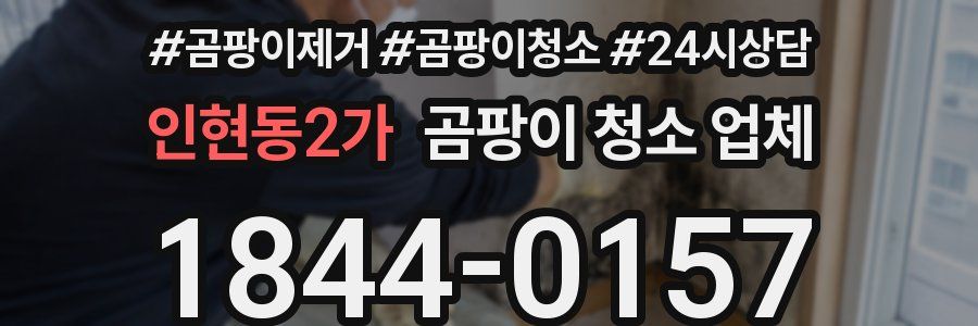 인현동2가 곰팡이 청소 업체