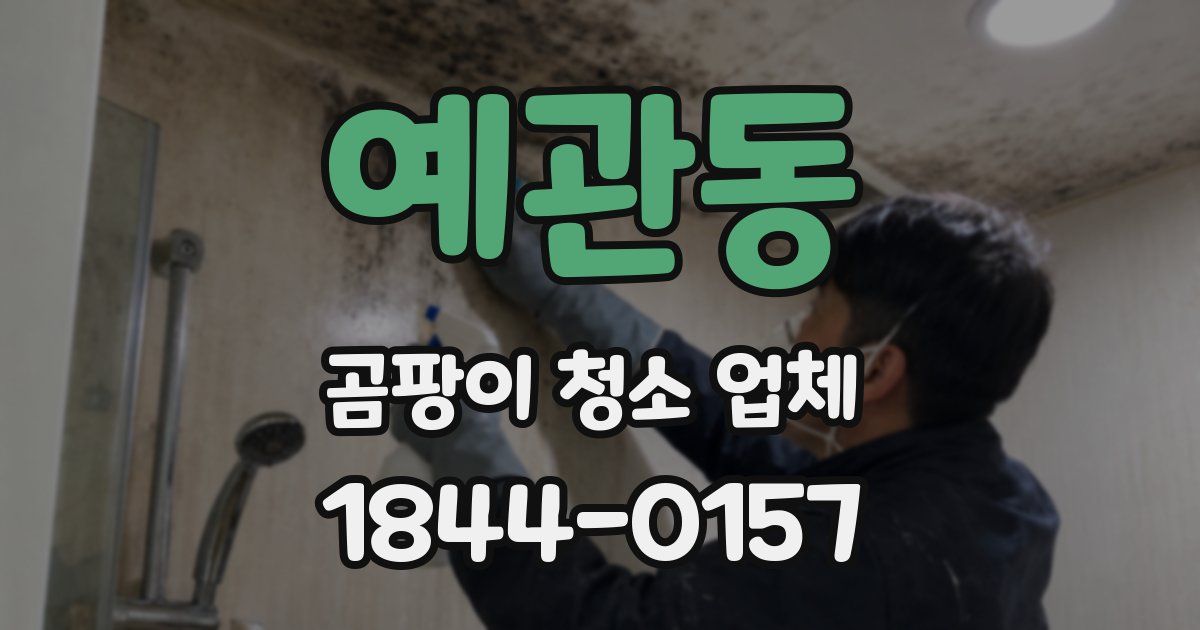예관동 곰팡이 청소 업체
