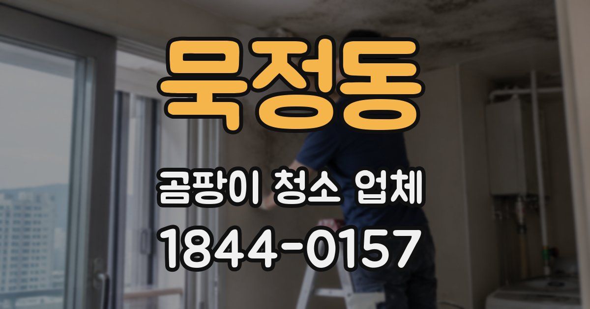 묵정동 곰팡이 청소 업체