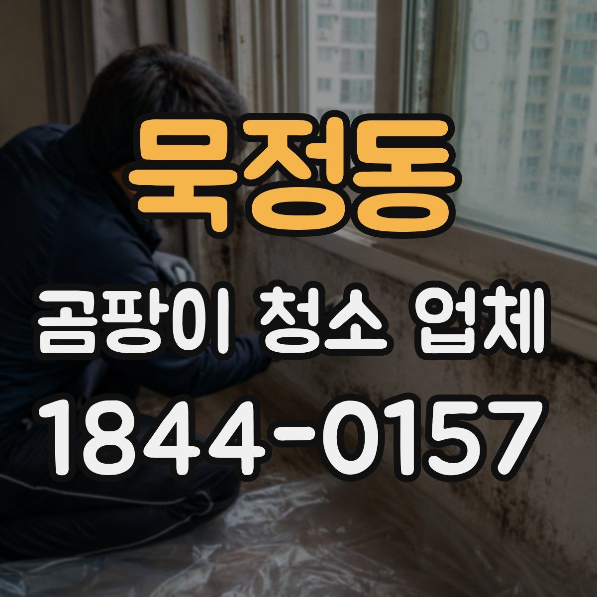 묵정동 곰팡이 청소 업체