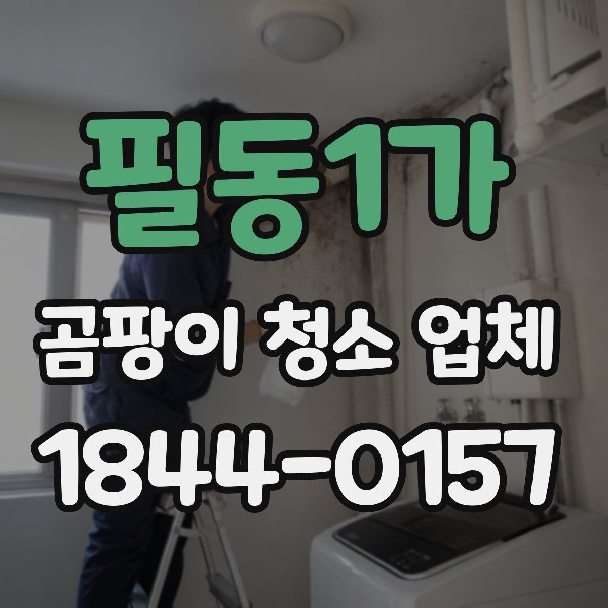필동1가 곰팡이 청소 업체