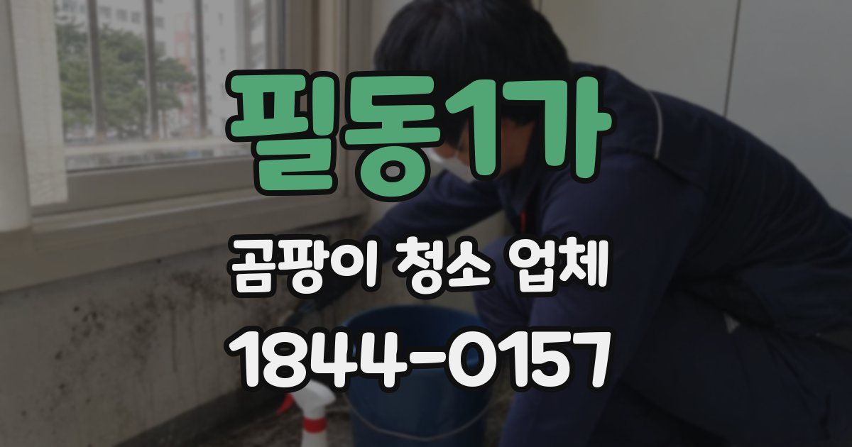 필동1가 곰팡이 청소 업체