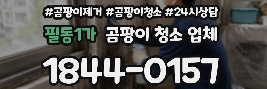 필동1가 곰팡이 청소 업체