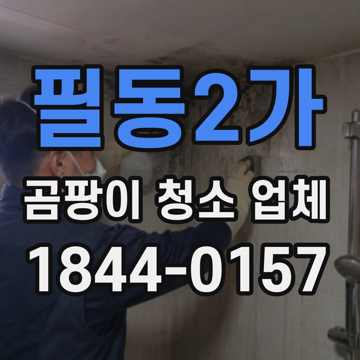 필동2가 곰팡이 청소 업체
