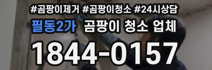 필동2가 곰팡이 청소 업체