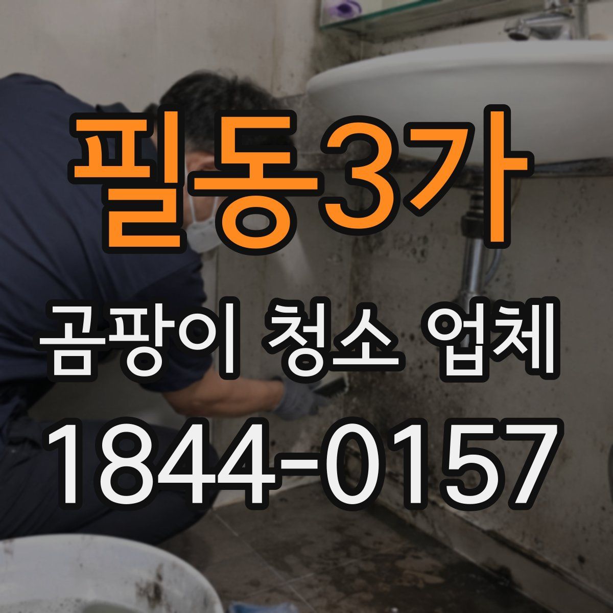 필동3가 곰팡이 청소 업체
