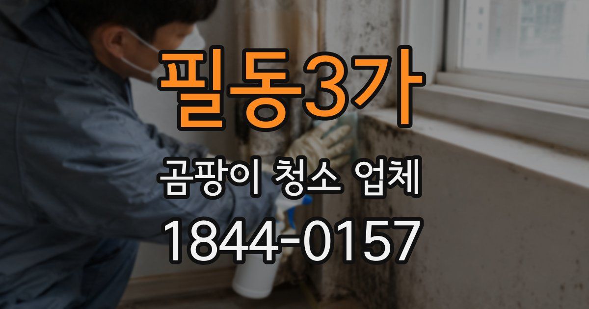 필동3가 곰팡이 청소 업체