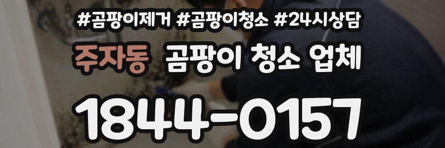 주자동 곰팡이 청소 업체