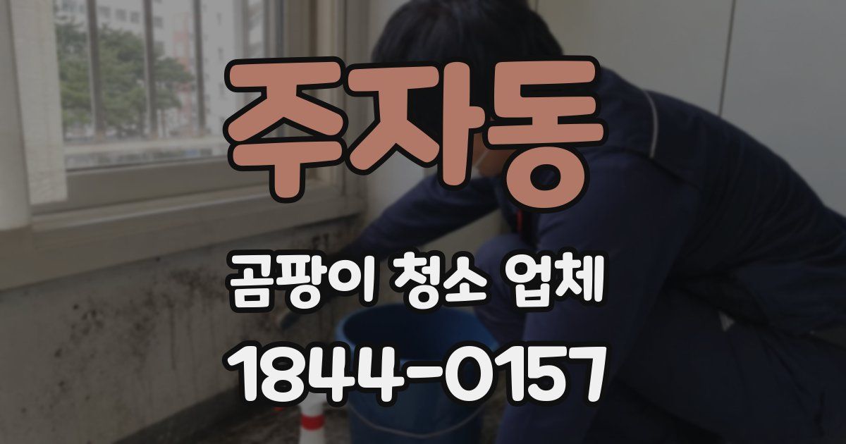 주자동 곰팡이 청소 업체