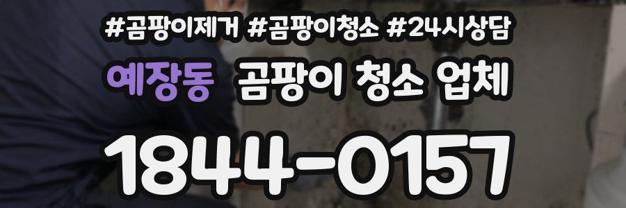 예장동 곰팡이 청소 업체