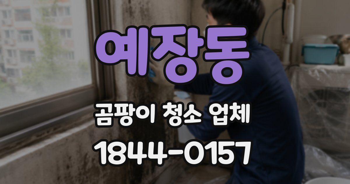 예장동 곰팡이 청소 업체